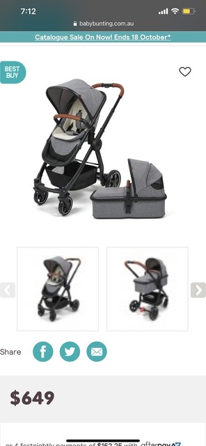 panorama pram baby bunting